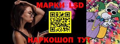 молекула духа Шелехов