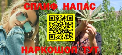молекула духа Шелехов