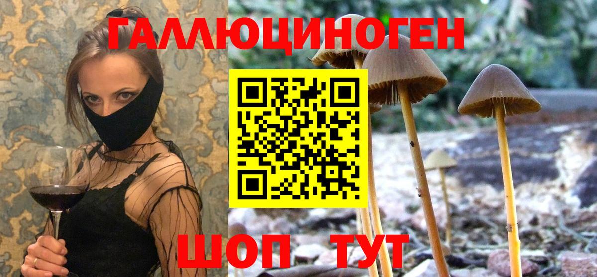 Галлюциногенные грибы ЛСД  Вход с VPN  Костомукша  Галлюциногенные грибы Cubensis 